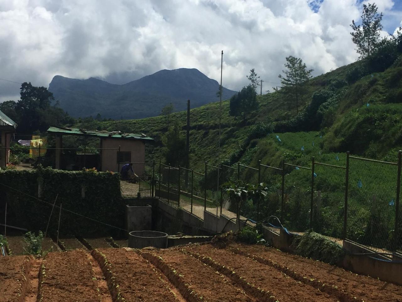 Chandrasobana Nuwara Eliya Kültér fotó